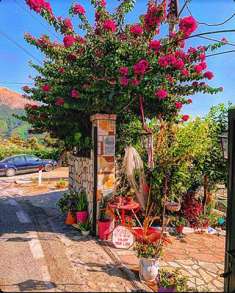 Leilighet Maria Luxury 